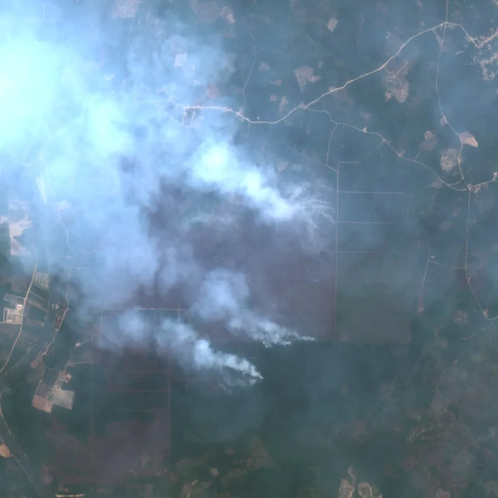 Wildfire near Nanga Bulik (Sep 22) — Sentinel-2 true color