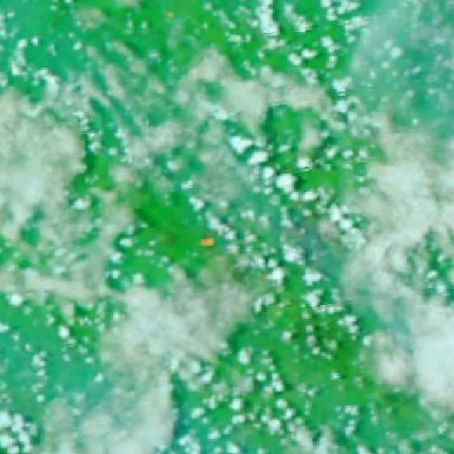 Wildfire near Nanga Bulik (Sep 18 · NW #2) — NASA satellite