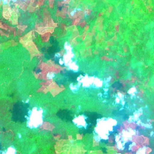 Incendio cerca de Nanga Bulik (22 oct · W) — Sentinel-2 SWIR (fuego)