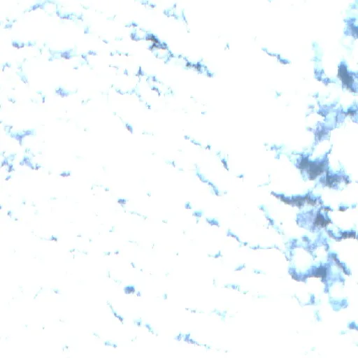 Incendio cerca de Nanga Bulik (20 sep) — Sentinel-2 true color