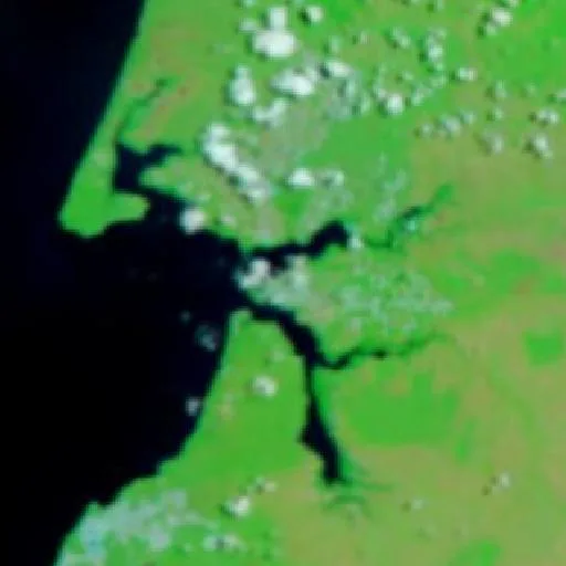 Nanum Bushfire (Oct 29) — NASA satellite