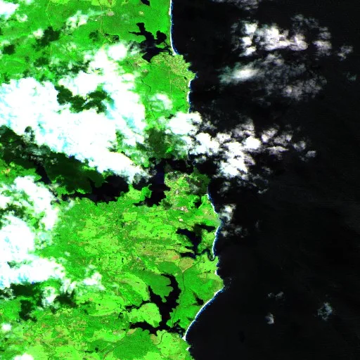 Narooma Bushfire — Sentinel-2 SWIR (fuego)
