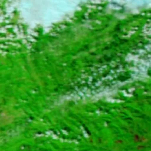 Incendio cerca de Navia de Suarna — NASA satellite