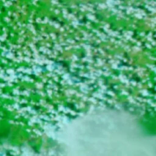 Wildfire near Neteolândia — NASA satellite