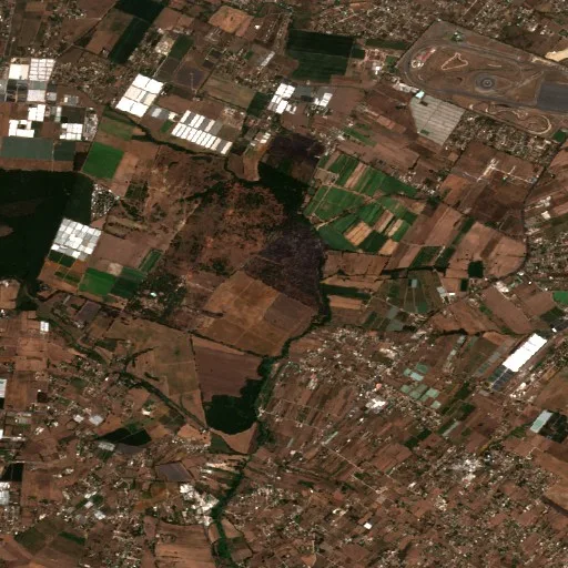 Wildfire near Nettuno — Sentinel-2 true color