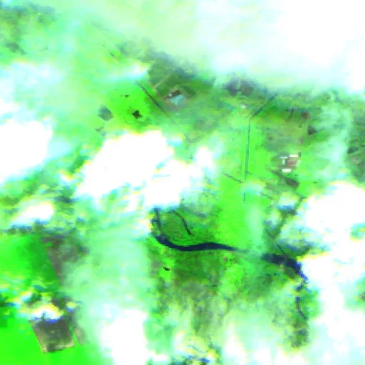 Incendio cerca de Nevinnomyssk — Sentinel-2 SWIR (fuego)