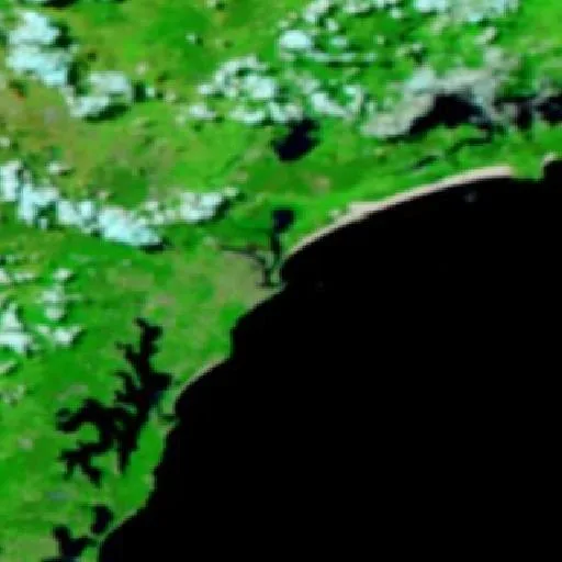 Newcastle Bushfire — NASA satellite