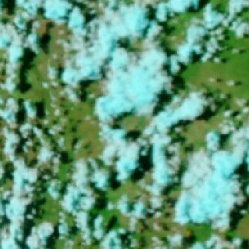 Incendio cerca de Newlands — NASA satellite