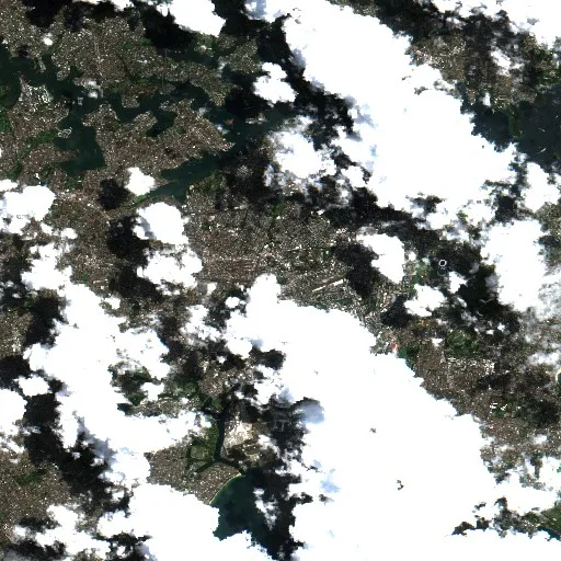 Incendio cerca de Newtown — Sentinel-2 true color