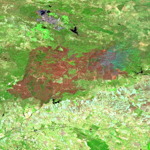 Wildfire near Niebla (Aug 7) — Sentinel-2 SWIR (fuego)
