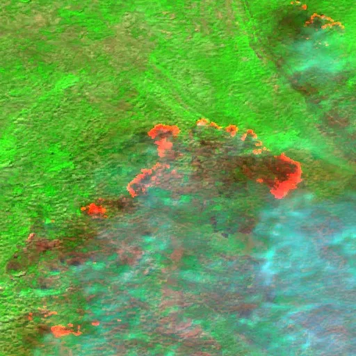 Wildfire near Nikšić — Sentinel-2 SWIR (fuego)