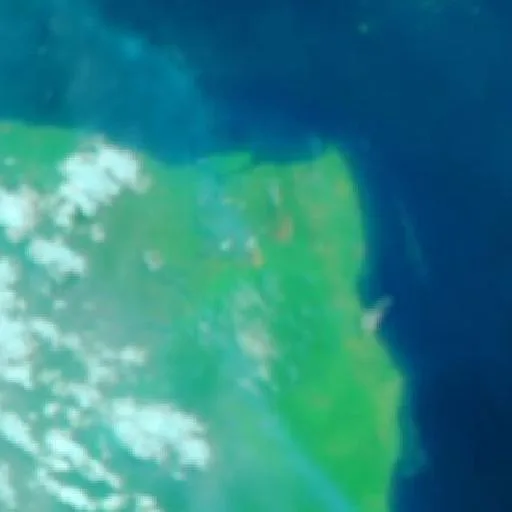Wildfire near Nipah Panjang — NASA satellite