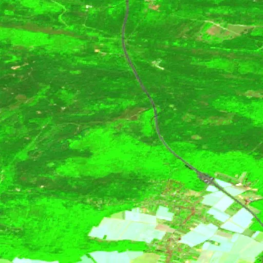 Incendio Wildfire near Noisy-sur-École (FR) — Sentinel-2 SWIR (fuego)
