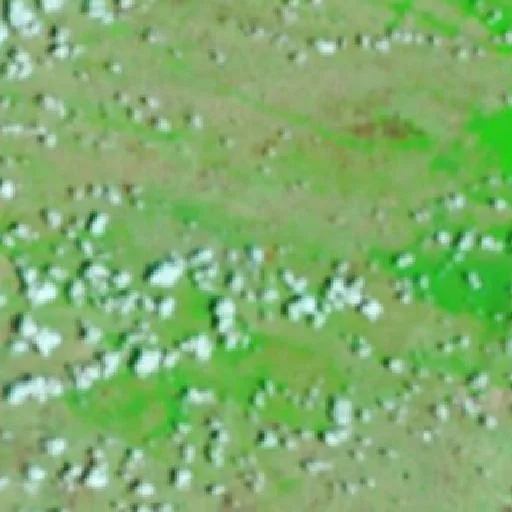 Incendio cerca de Normandia — NASA satellite