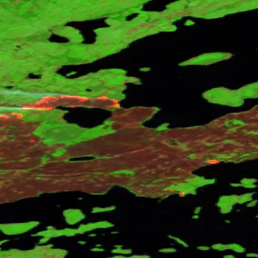 Wildfire near North Slave Region — Sentinel-2 SWIR (fuego)