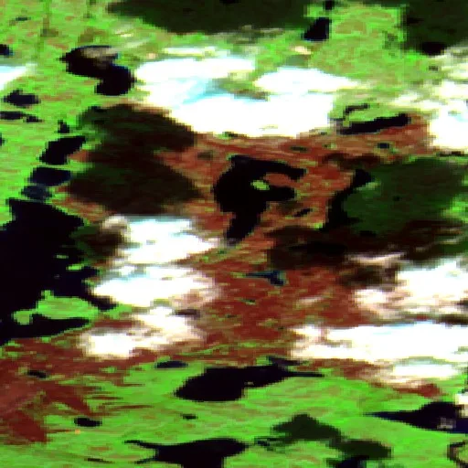 Wildfire near North Slave Region — Sentinel-2 SWIR (fuego)