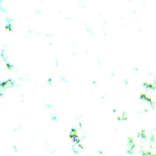 Incendio cerca de Nova Bandeirantes — Sentinel-2 SWIR (fuego)