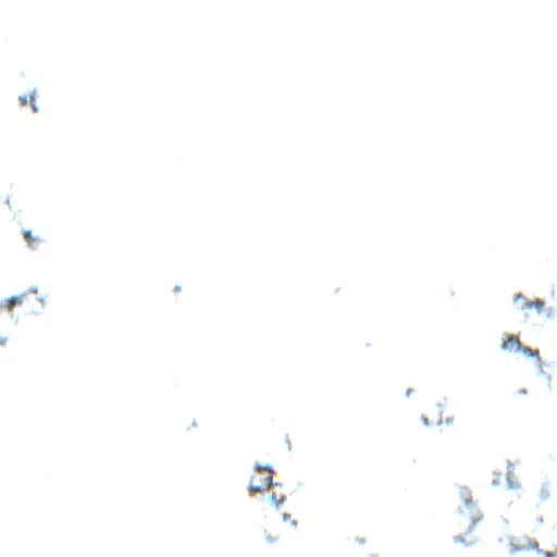 Incendio cerca de Nova Bandeirantes — Sentinel-2 true color