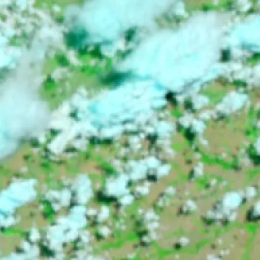 Wildfire near Nova Brasilândia — NASA satellite