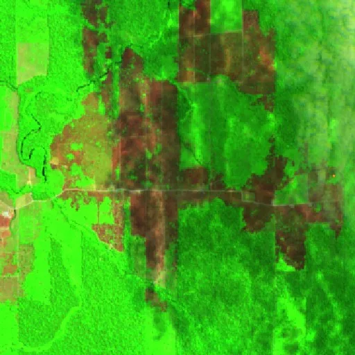 Incendio cerca de Nova Holanda (30 ago) — Sentinel-2 SWIR (fuego)