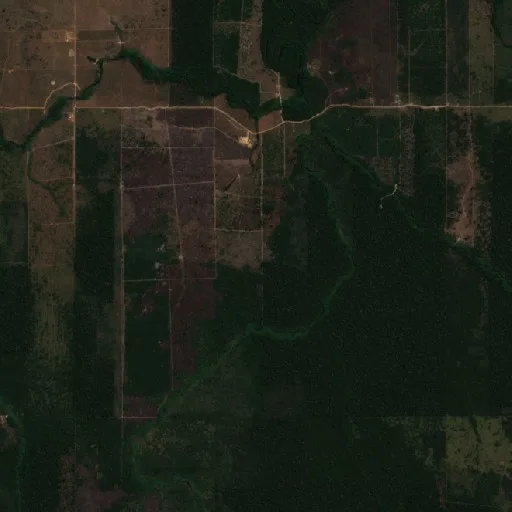 Wildfire near Nova Holanda (Aug 22) — Sentinel-2 true color
