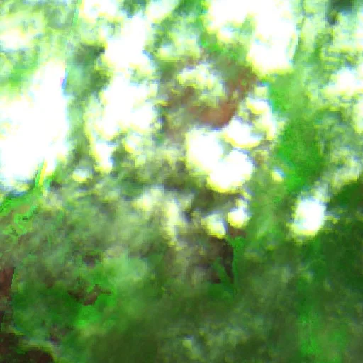 Wildfire near Nova Nazaré (Jul 24) — Sentinel-2 SWIR (fuego)
