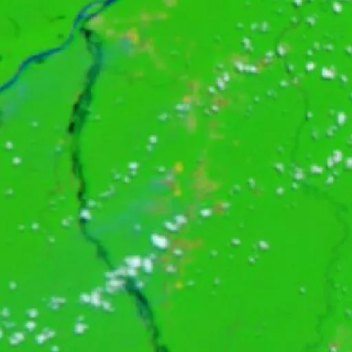 Wildfire near Novo Aripuanã (Sep 22) — NASA satellite