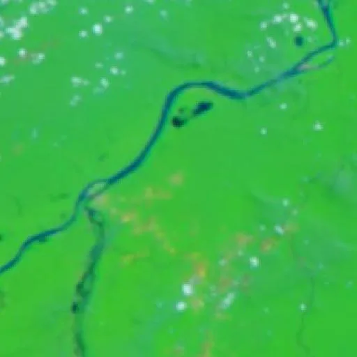 Incendio cerca de Novo Aripuanã (9 oct) — NASA satellite