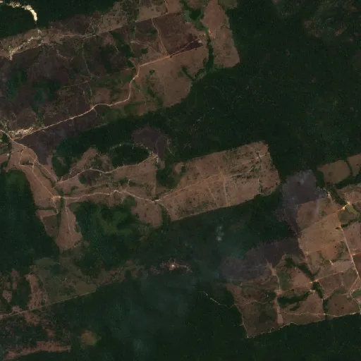 Incendio cerca de Novo Progresso (11 sep) — Sentinel-2 true color