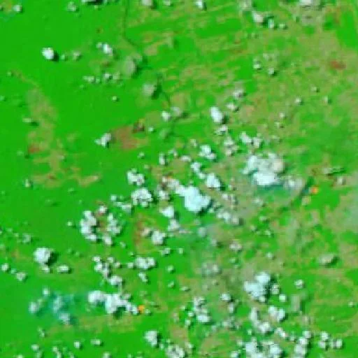 Wildfire near Novo Progresso (Sep 14) — NASA satellite