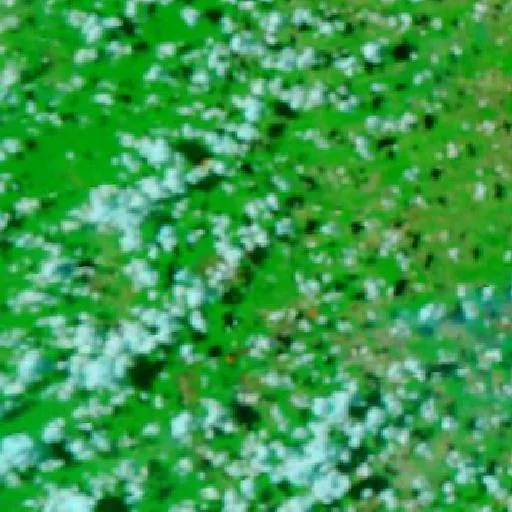 Wildfire near Novo Progresso (Sep 21 · N) — NASA satellite
