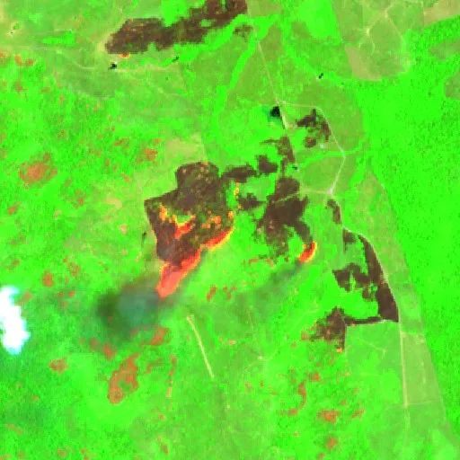 Wildfire near Novo Progresso (Oct 6) — Sentinel-2 SWIR (fuego)