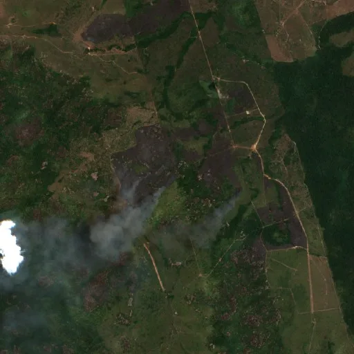 Wildfire near Novo Progresso (Oct 6) — Sentinel-2 true color