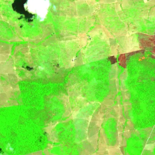 Wildfire near Novo Progresso (Oct 7 · N) — Sentinel-2 SWIR (fuego)