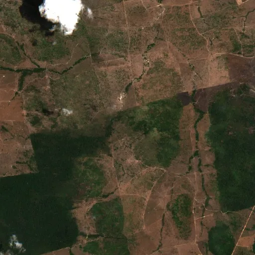 Wildfire near Novo Progresso (Oct 7 · N) — Sentinel-2 true color