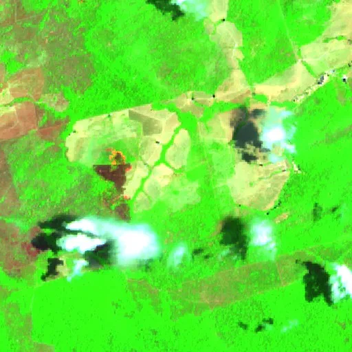Wildfire near Novo Progresso (Oct 17) — Sentinel-2 SWIR (fuego)