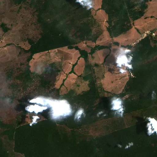 Wildfire near Novo Progresso (Oct 17) — Sentinel-2 true color