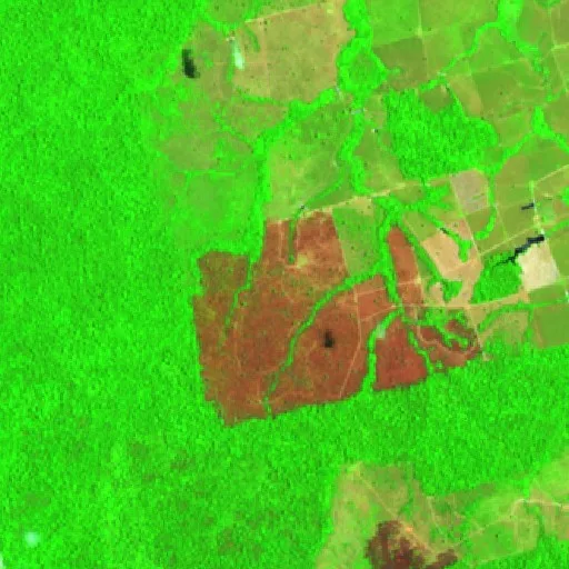 Wildfire near Novo Progresso (Aug 15) — Sentinel-2 SWIR (fuego)