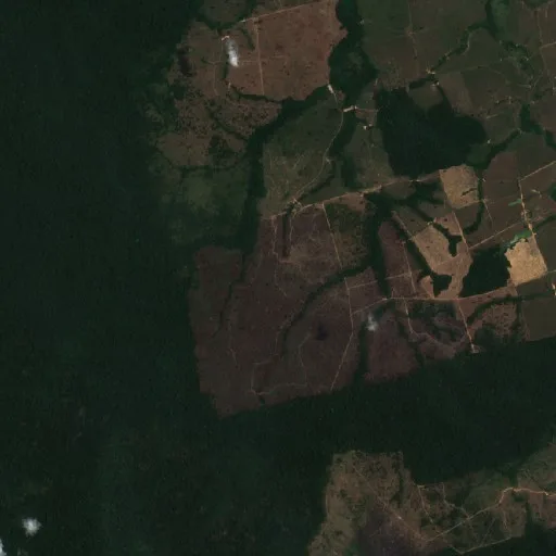 Wildfire near Novo Progresso (Aug 15) — Sentinel-2 true color