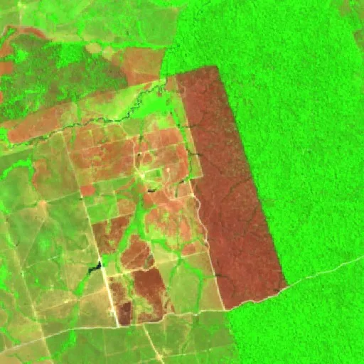 Wildfire near Novo Progresso (Aug 17) — Sentinel-2 SWIR (fuego)