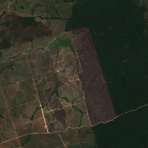 Wildfire near Novo Progresso (Aug 17) — Sentinel-2 true color