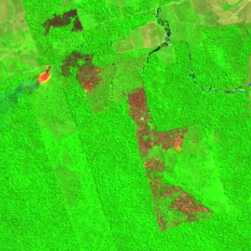 Wildfire near Novo Progresso (Aug 20) — Sentinel-2 SWIR (fuego)