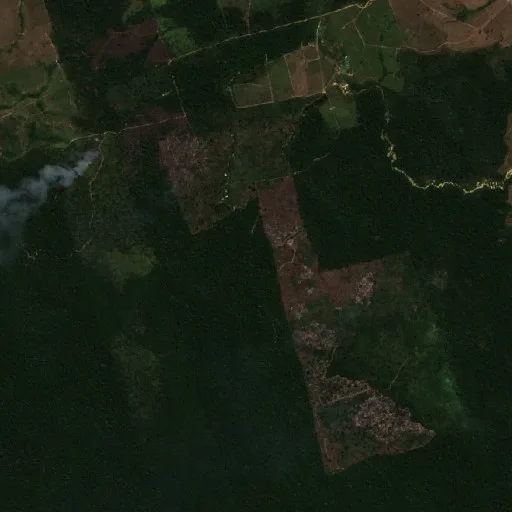Wildfire near Novo Progresso (Aug 20) — Sentinel-2 true color