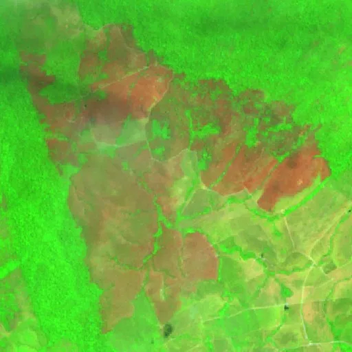 Wildfire near Novo Progresso (Aug 22) — Sentinel-2 SWIR (fuego)