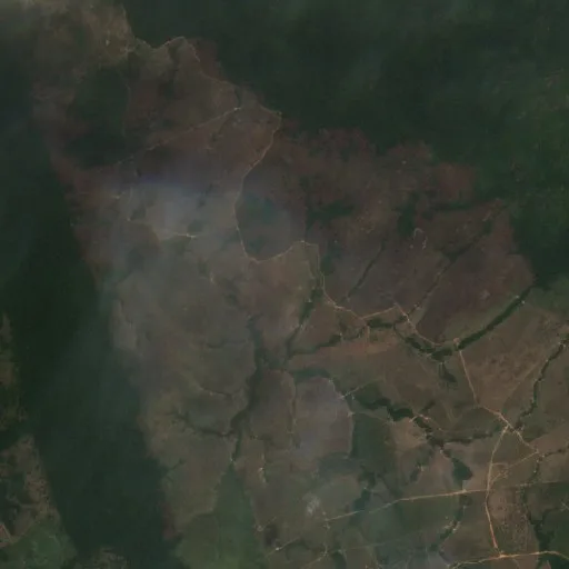 Wildfire near Novo Progresso (Aug 22) — Sentinel-2 true color