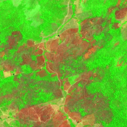 Wildfire near Novo Progresso (Aug 28) — Sentinel-2 SWIR (fuego)