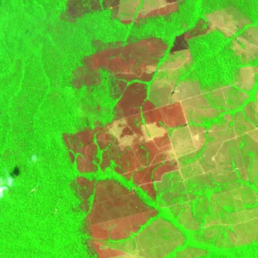 Incendio cerca de Novo Progresso (1 sep) — Sentinel-2 SWIR (fuego)