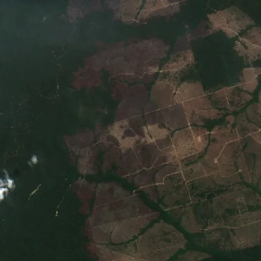 Incendio cerca de Novo Progresso (1 sep) — Sentinel-2 true color