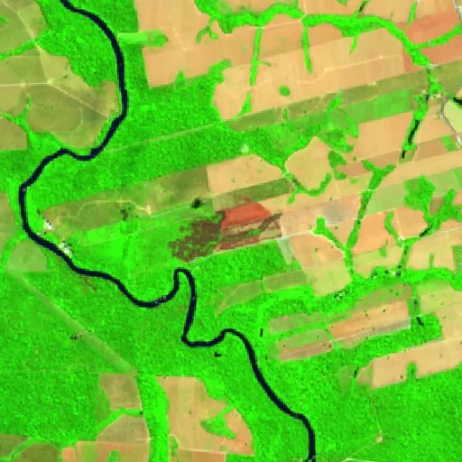 Wildfire near Novo Progresso (Jul 22) — Sentinel-2 SWIR (fuego)