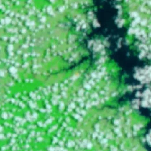 Wildfire near Novo Repartimento (Oct 9) — NASA satellite